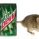 Illustration for article titled Can Mountain Dew really dissolve a mouse carcass?
